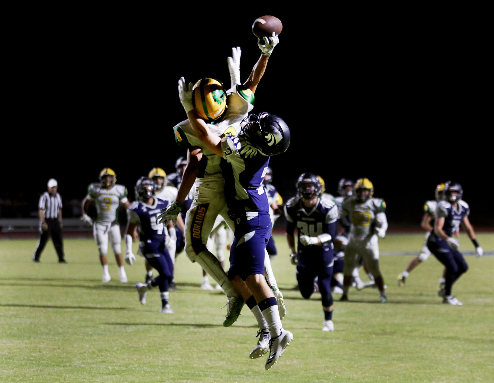 Canyon del Oro 21, Ironwood Ridge 24
